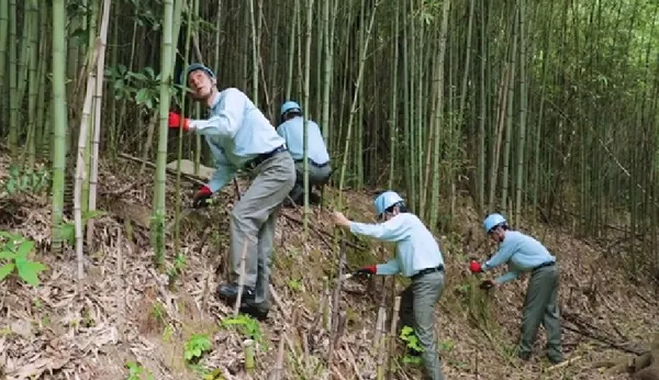 TOKUYAMA員工參與當地竹林採伐志工活動