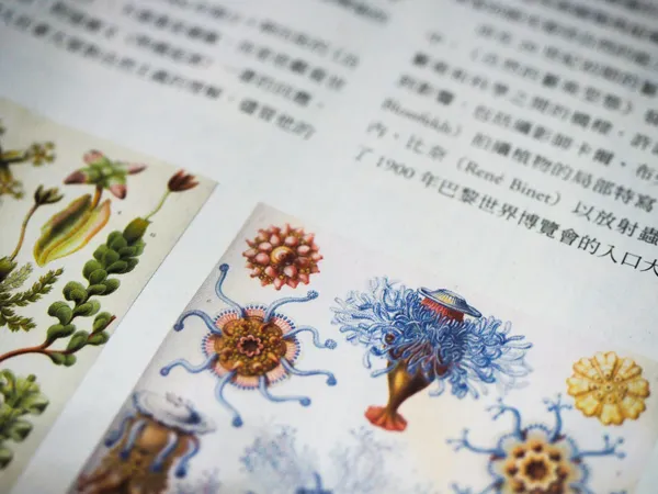 DFA亞洲最具影響力設計獎
