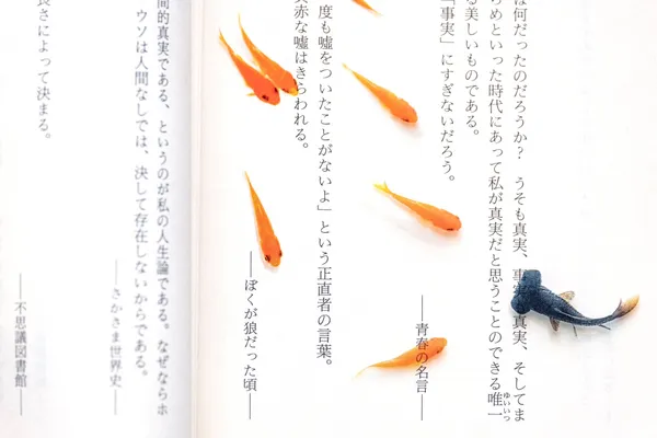 日本透明金魚游水書籤7.jpeg