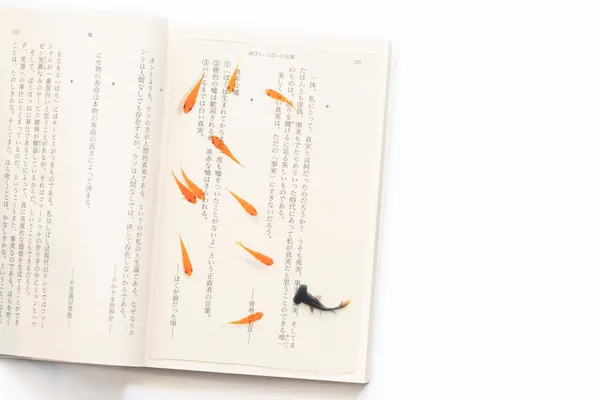 日本透明金魚游水書籤9.jpeg