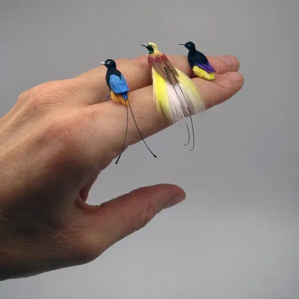 微縮生物模型