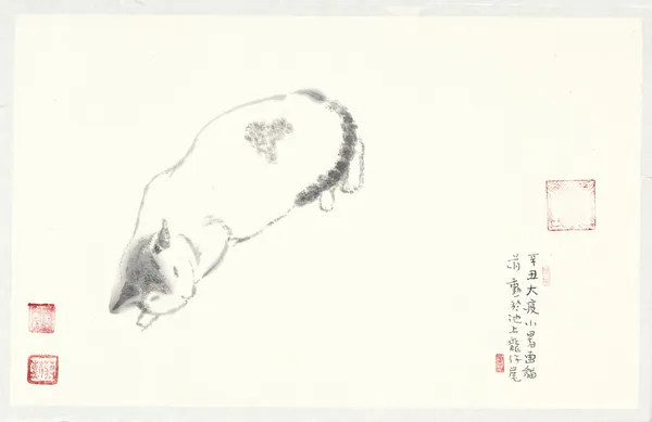 池上《寄情與召喚》
