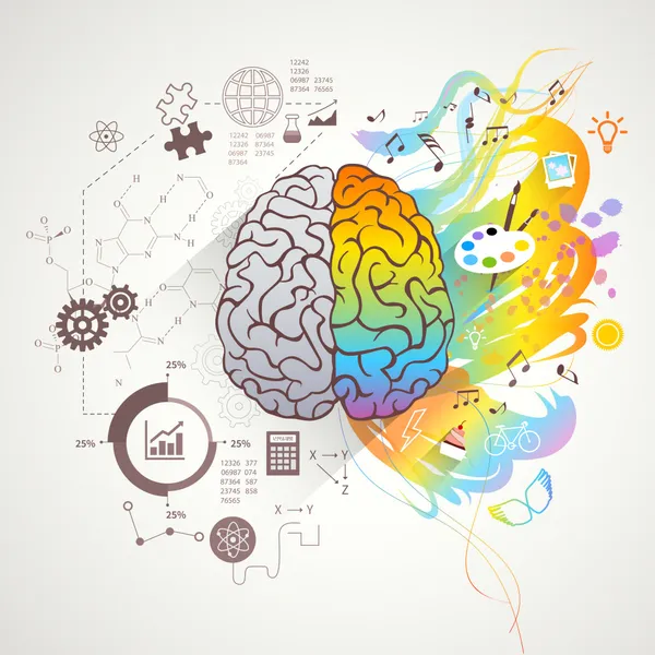 brain