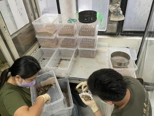 巨獸綠色科技