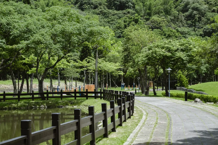 桃園生態造林將綠意深植日常，與市民共築宜居永續城市
