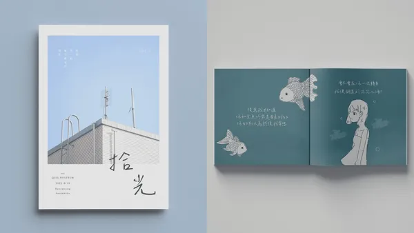 辰宇落雁體