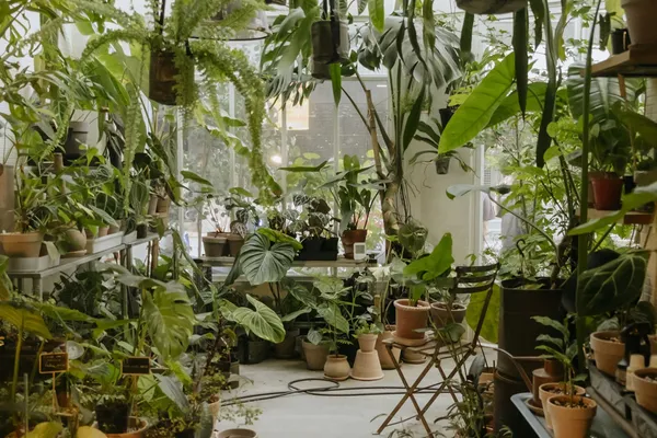 2022全台最美8間植物店推薦