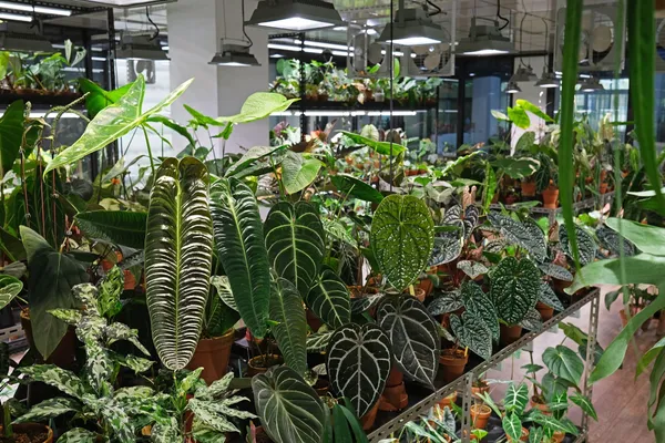 2022全台最美8間植物店推薦