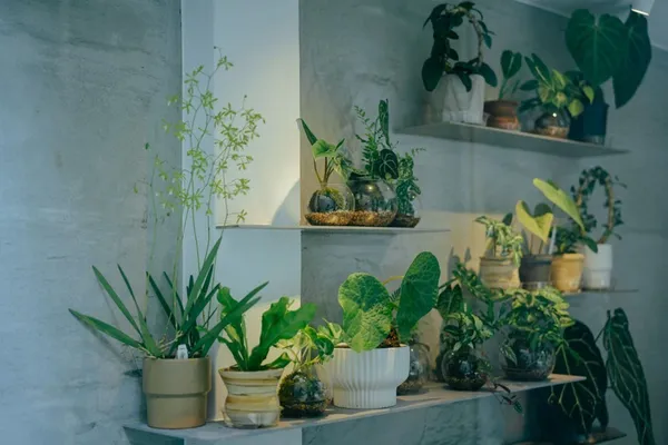 2022全台最美8間植物店推薦