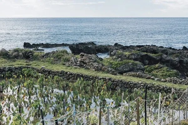 2022 蘭嶼洄島生活節