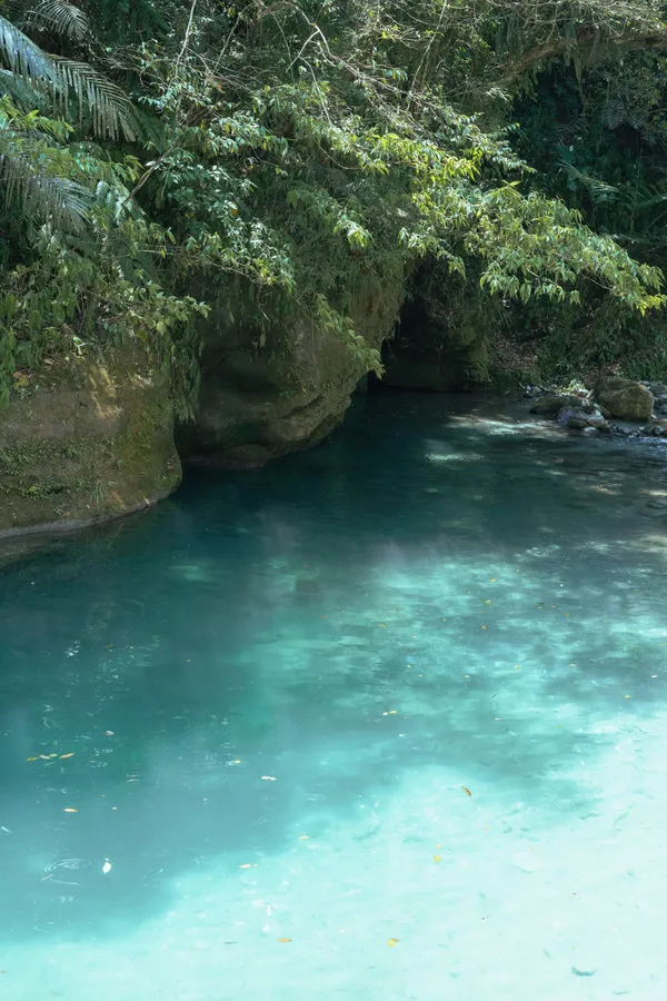 丘丘‧森旅 CHU Resort.jpg