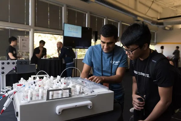 demo day