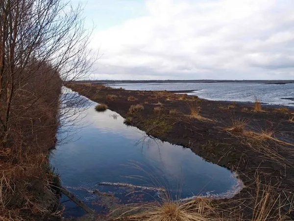 Peatlands