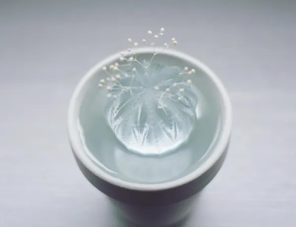 日本Echidna「透明植物店」10.jpeg