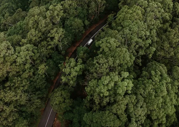 【朱平專欄】I'm still on the road：談人生中的四段旅行，是修復也是奔赴