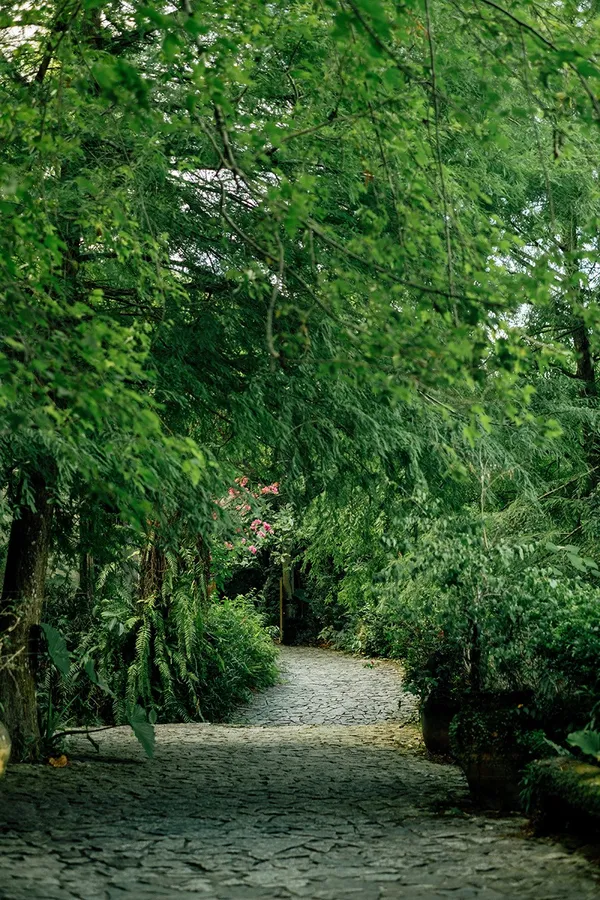 DSCF5737.jpg