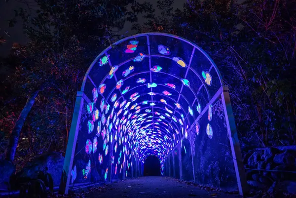 2022台東光祭