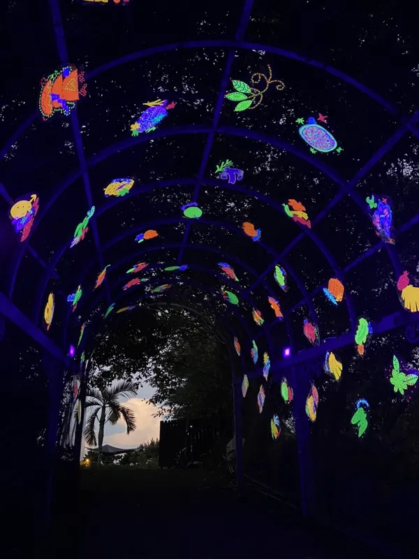 2022台東光祭