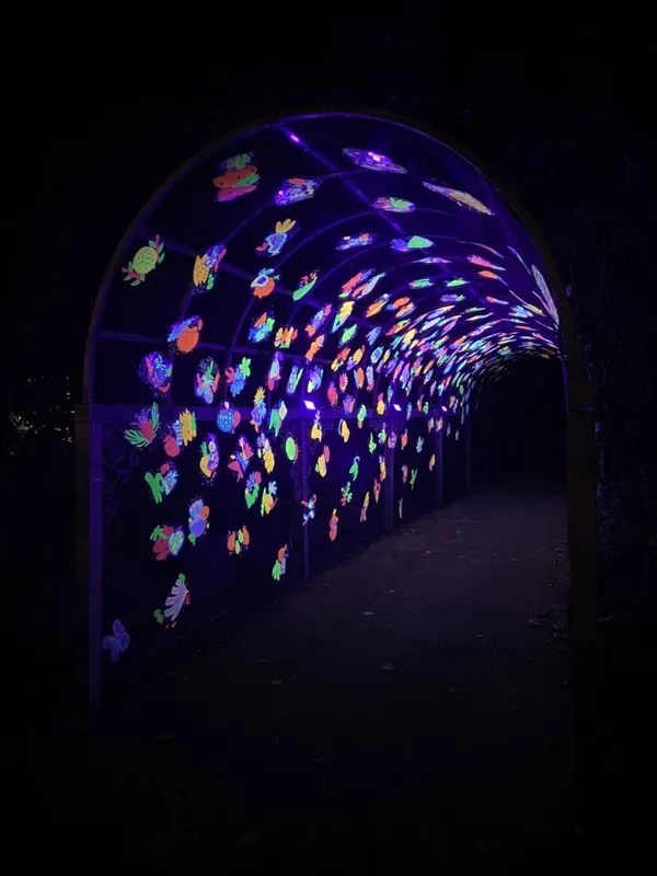 2022台東光祭