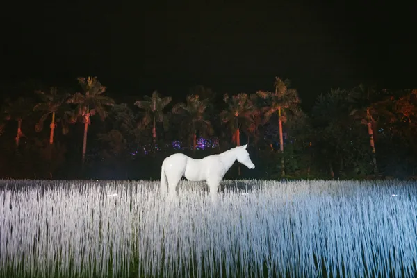 2022台東光祭