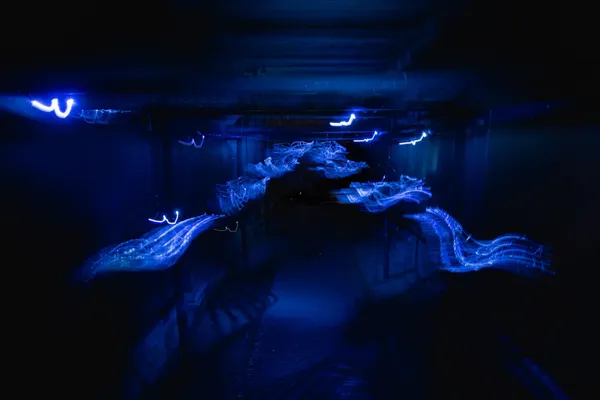 獵島計畫