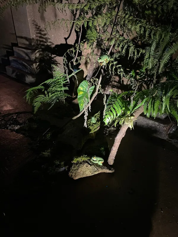 獵島計畫