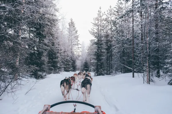 雪橇