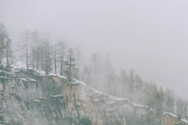 暴風雪