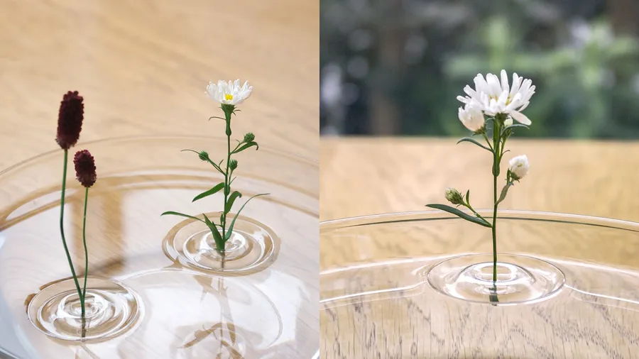 如漣漪般綻放！日本「水紋漂浮花器」：一個波紋插一枝花，當空氣流動 