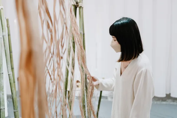 花蓮植物概念展在呼吸 in spire 