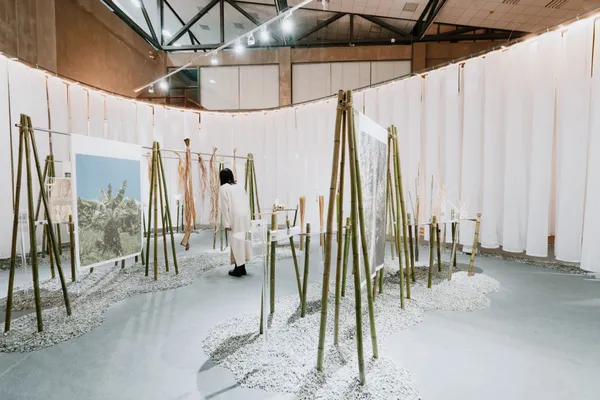 花蓮植物概念展在呼吸 in spire 