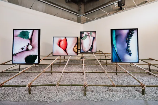 「在呼吸 in spire」概念展