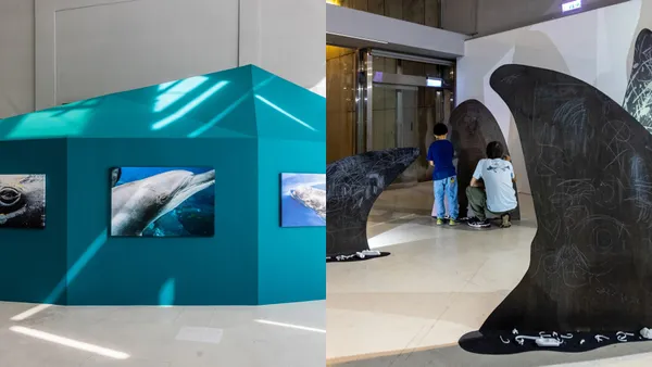 2022 Palafang 花蓮跳浪藝術節：《變化球》集結地景、錄像、水下攝影、VR，從不同物種眼光看地球