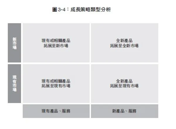 成長策略類型分析