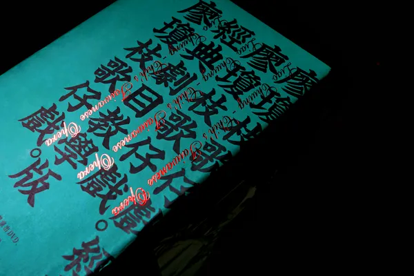 兩隻老虎