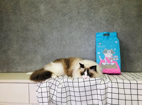 臭味滾