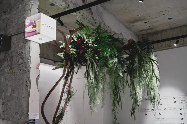 植蘊 Planté 武昌概念店