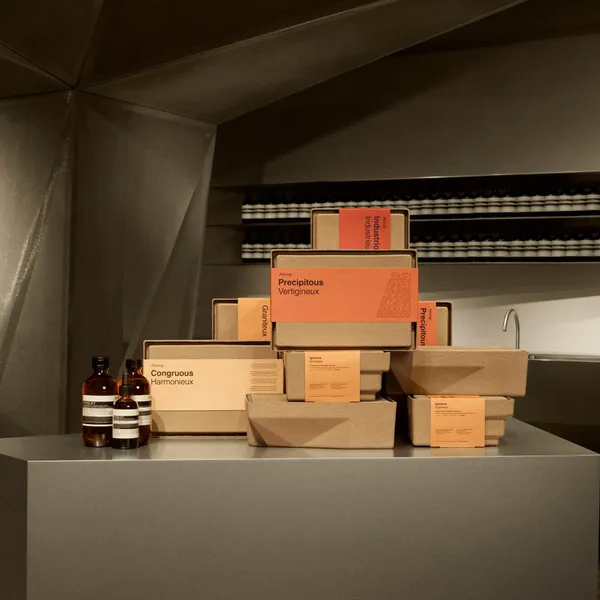 Aesop2022年度禮盒_城市藍圖_NT$5,700.jpg