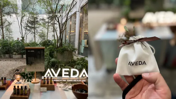 TFAMxAVEDA.jpg