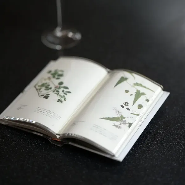 TENT 透明書上書