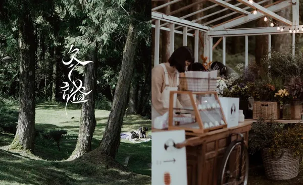 阿里山秘境音樂派對、山林野餐市集 12 月登場！攜手民生電氣、「草木森花之市」主理團隊共同策劃