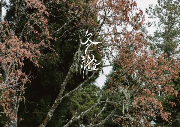 阿里山森林市集秘境音樂派對.jpg