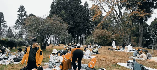 阿里山森林市集秘境音樂派對.jpg