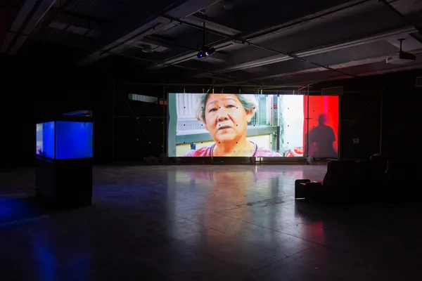 「居家娛樂―楊登棋（登曼波）個展」展場一景，2022。圖像由藝術家及臺北市立美術館提供。View o