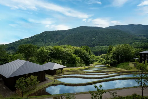 【界 由布院】棚田_水鏡_昼景.jpg