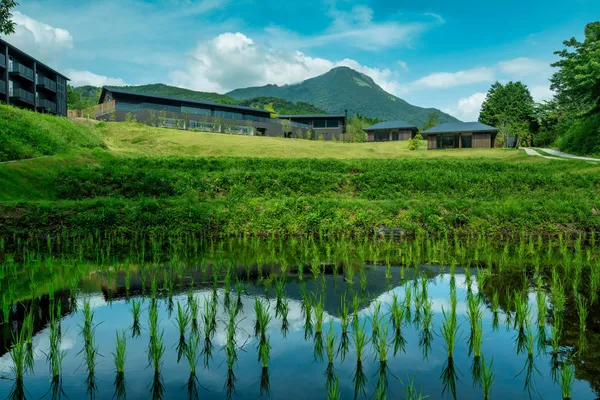 【界 由布院】棚田_由布岳.jpg