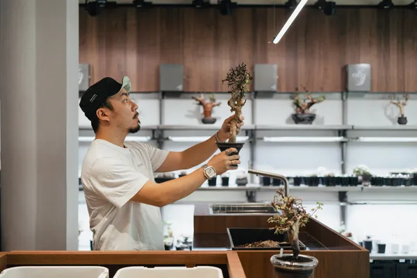 0343 CONSERVATORY塊根品牌旗艦店-台南.jpg