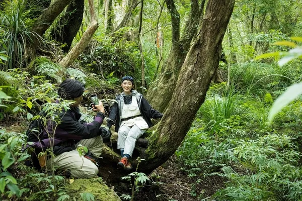 極島森林》（Extreme Forest）