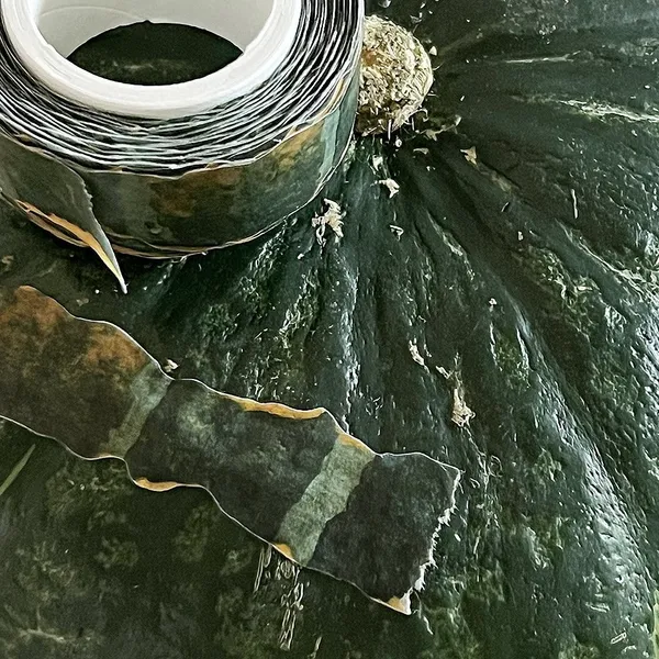 韓國 果皮紙膠帶