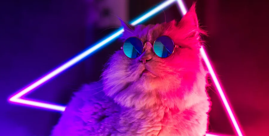 推評分系統、品牌再造計畫！NFT項目Cool Cats如何將圖檔，變身娛樂品牌？